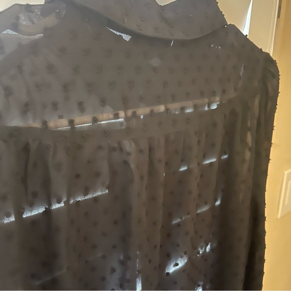 Modcloth Black Long-Sleeve Sheer Polka Dot Blouse, Small - Picture 11 of 11